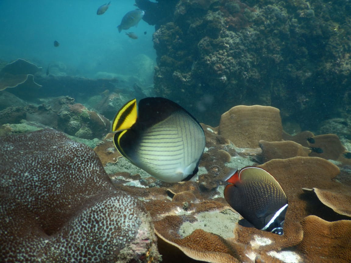 Activity image 6