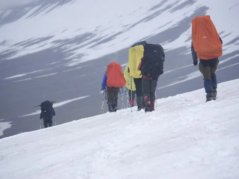 Activity image 5