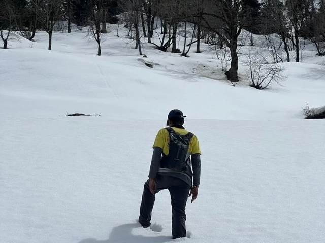 Activity image 1