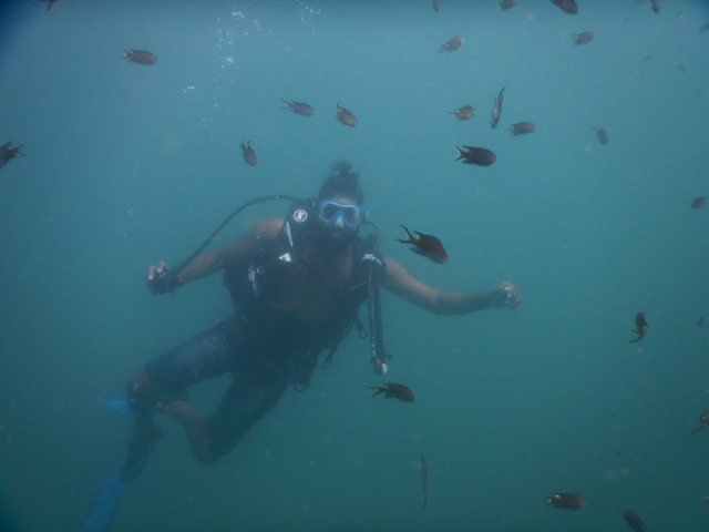 Activity image 3