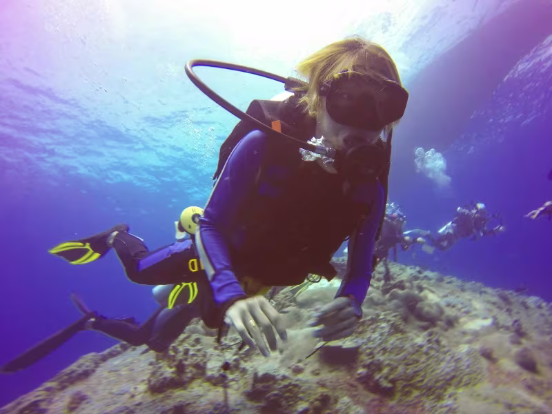 Activity image 2