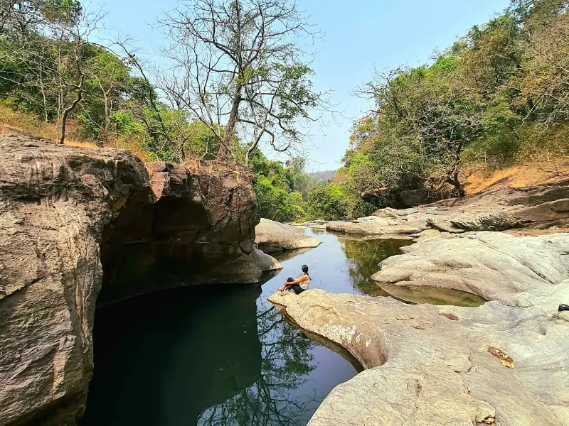 Activity image 1
