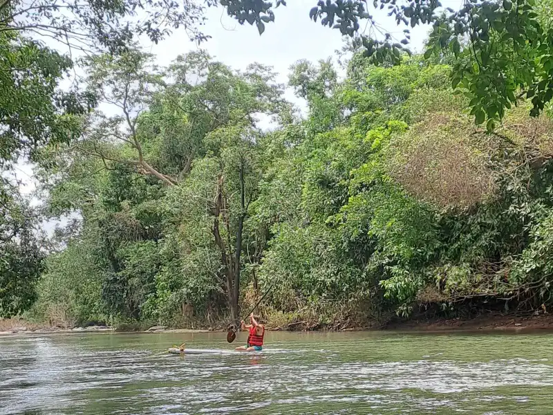 Activity image 1