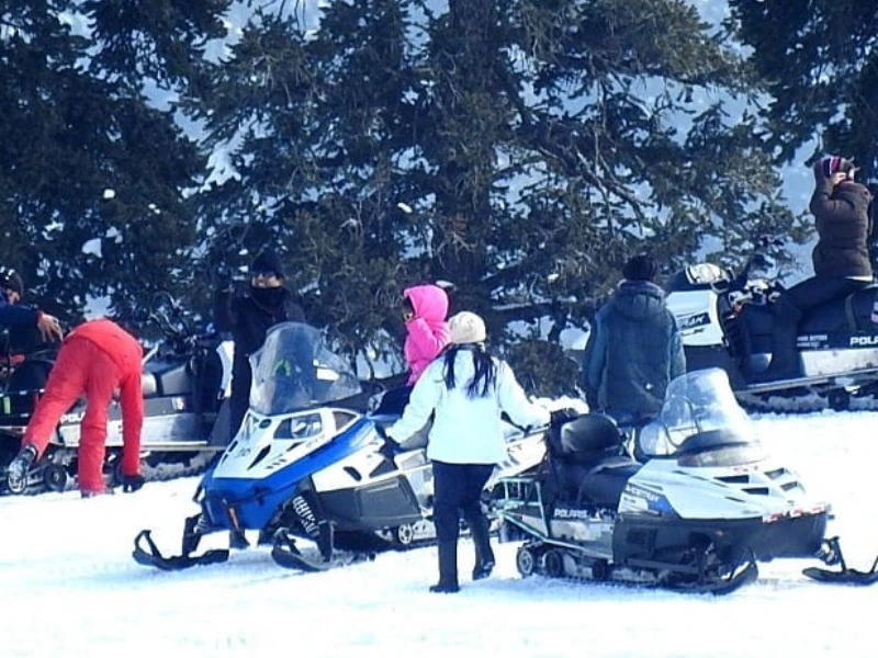 Activity image 2