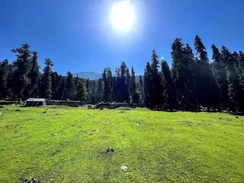 Activity image 1