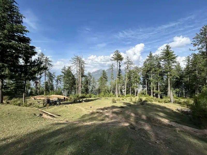 Activity image 4