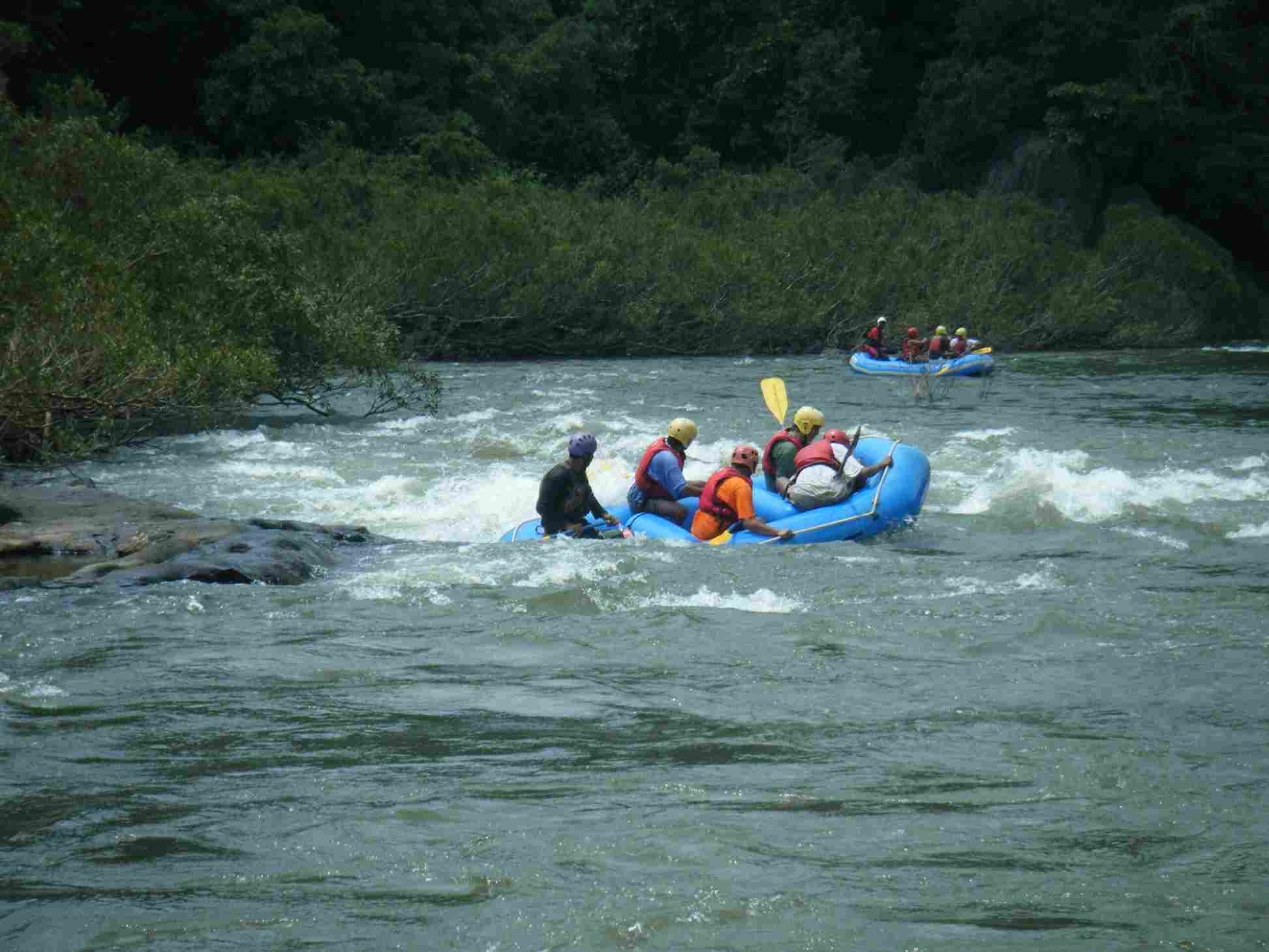 Activity image 5