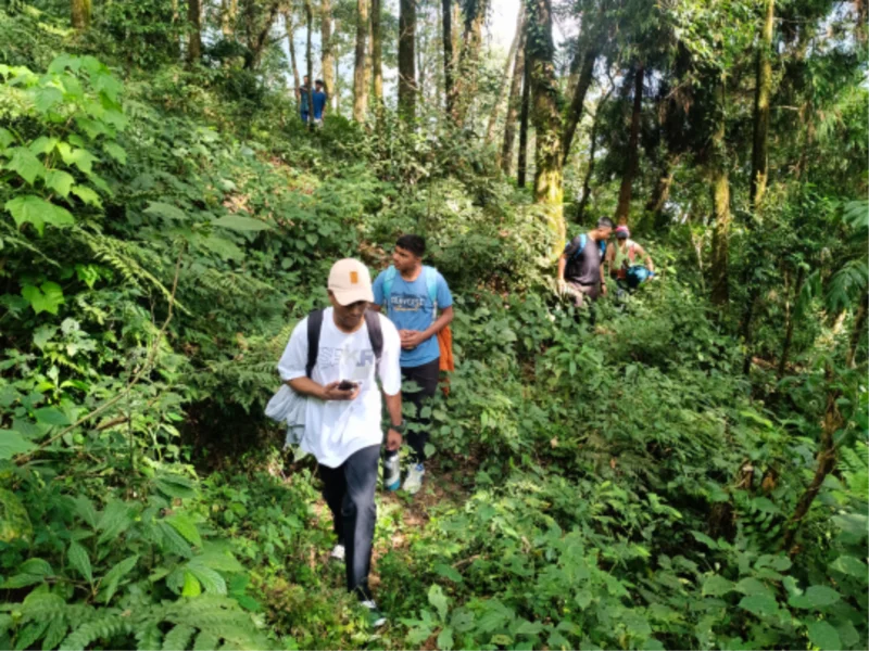 Activity image 2