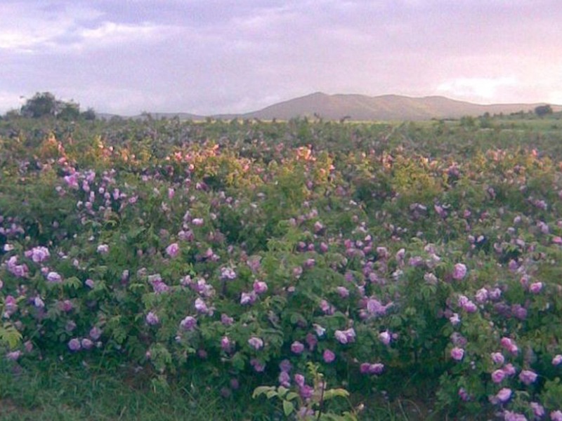 Activity image 3