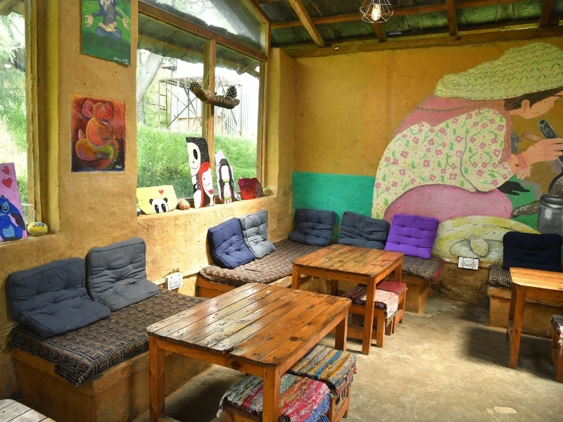 Activity image 2