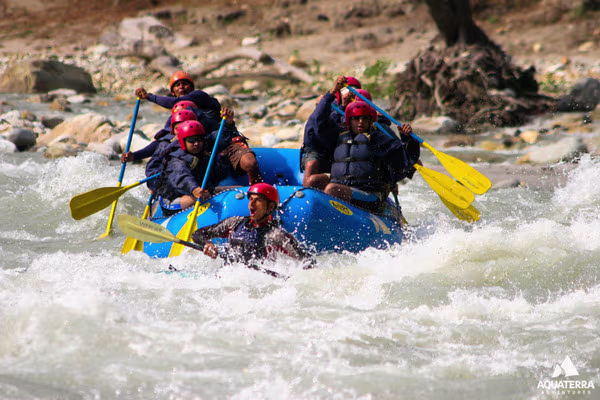 Activity image 1