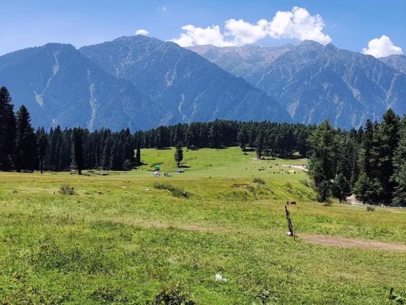 Activity image 1
