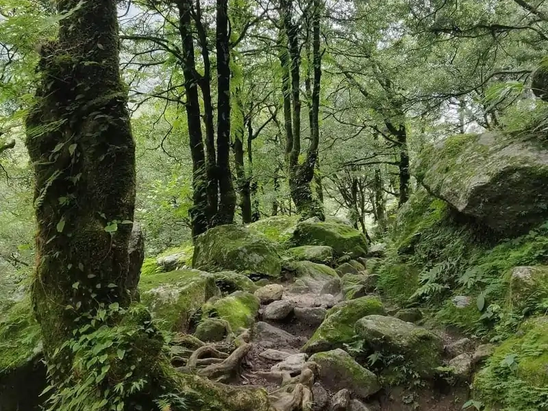 Activity image 4