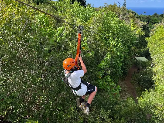 Activity image 2
