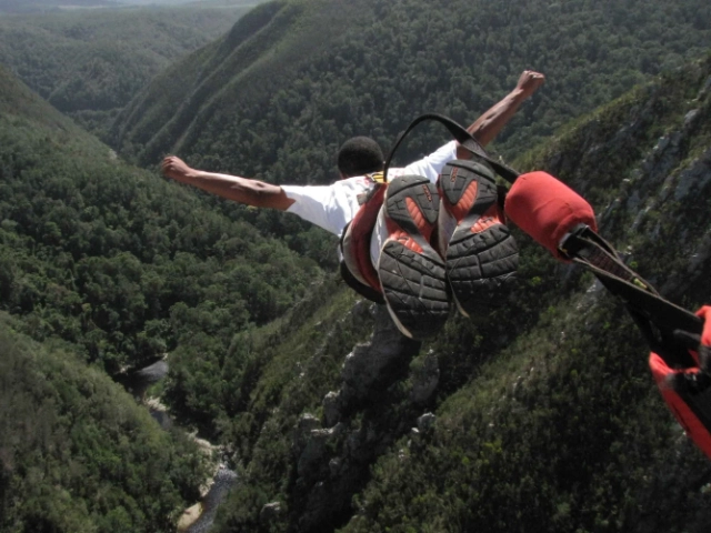 Activity image 2