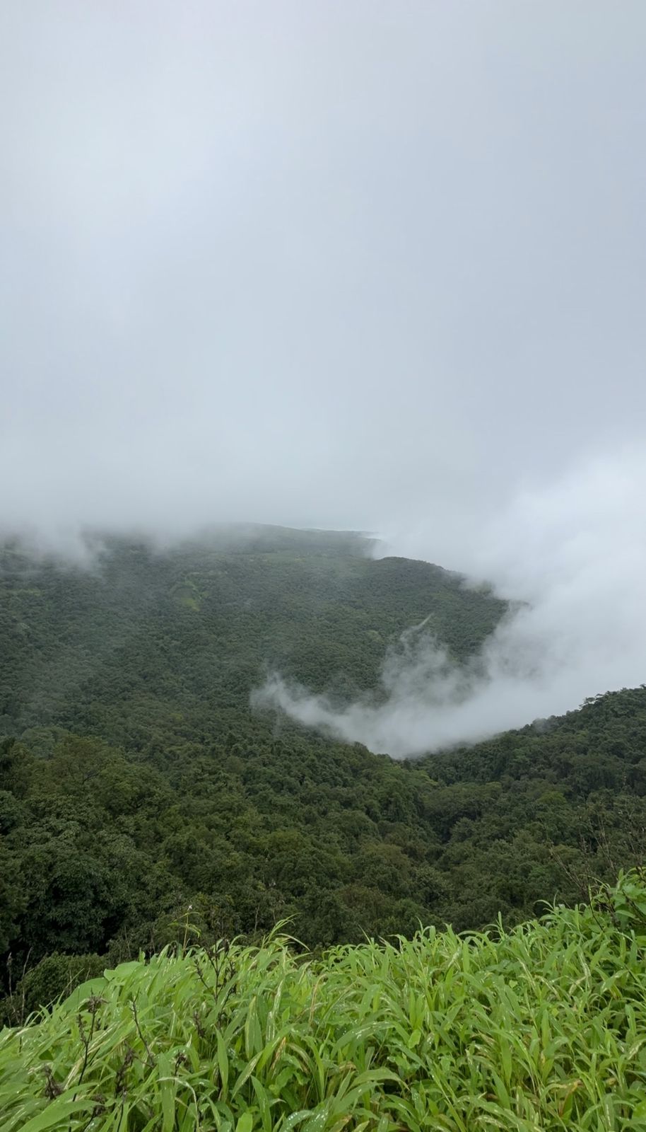 Activity image 7