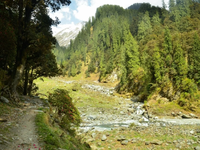 Activity image 4