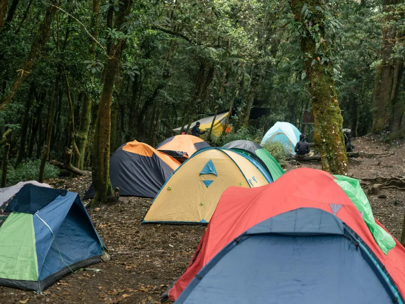 Activity image 1