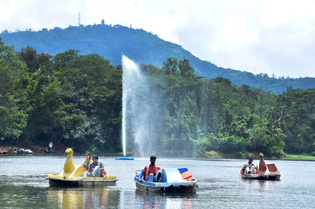 Activity image 1