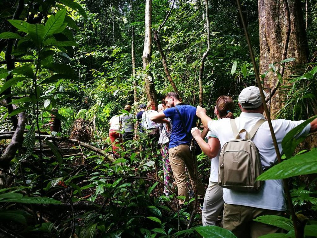 Activity image 4