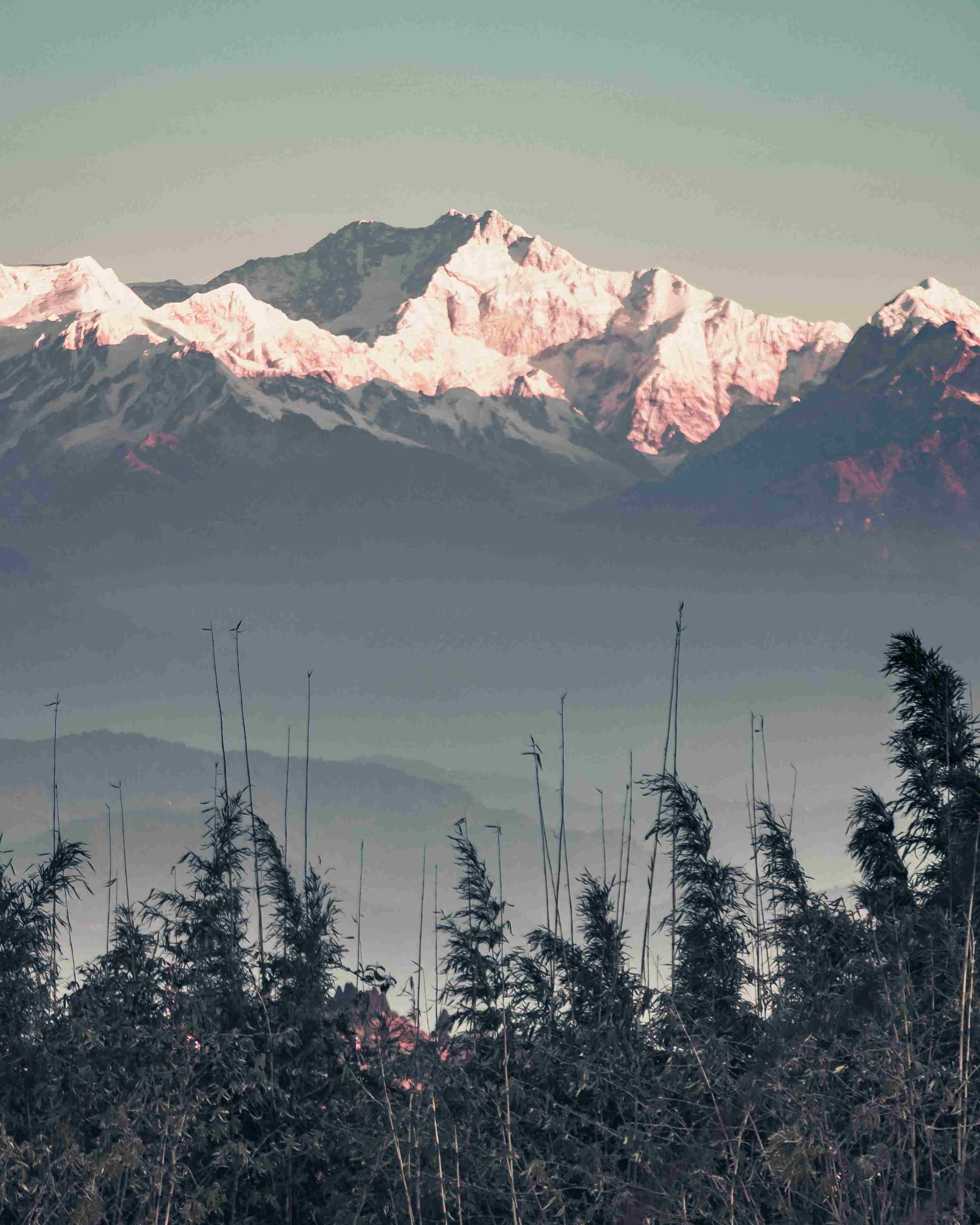 Activity image 1