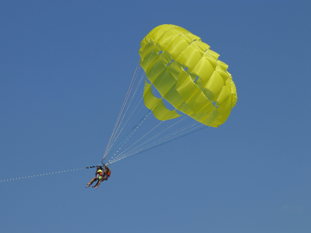 Activity image 2