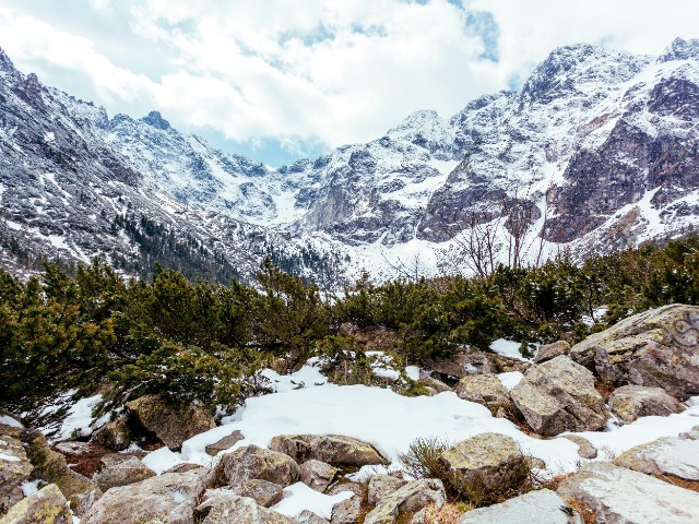 Activity image 1