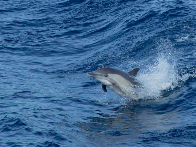 Activity image 3