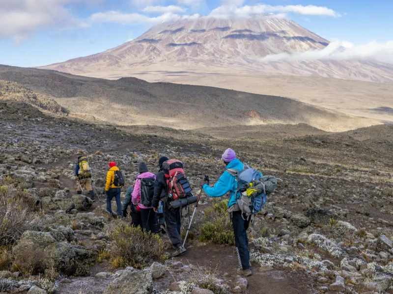 Activity image 1