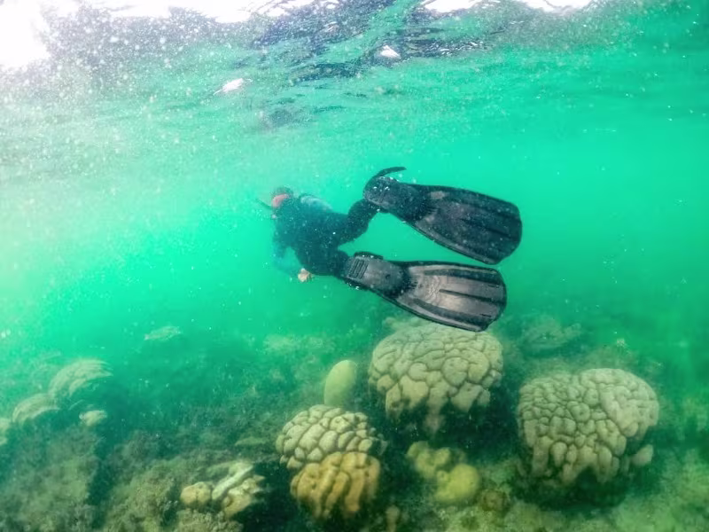 Activity image 1