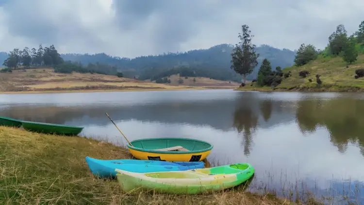Activity image 1