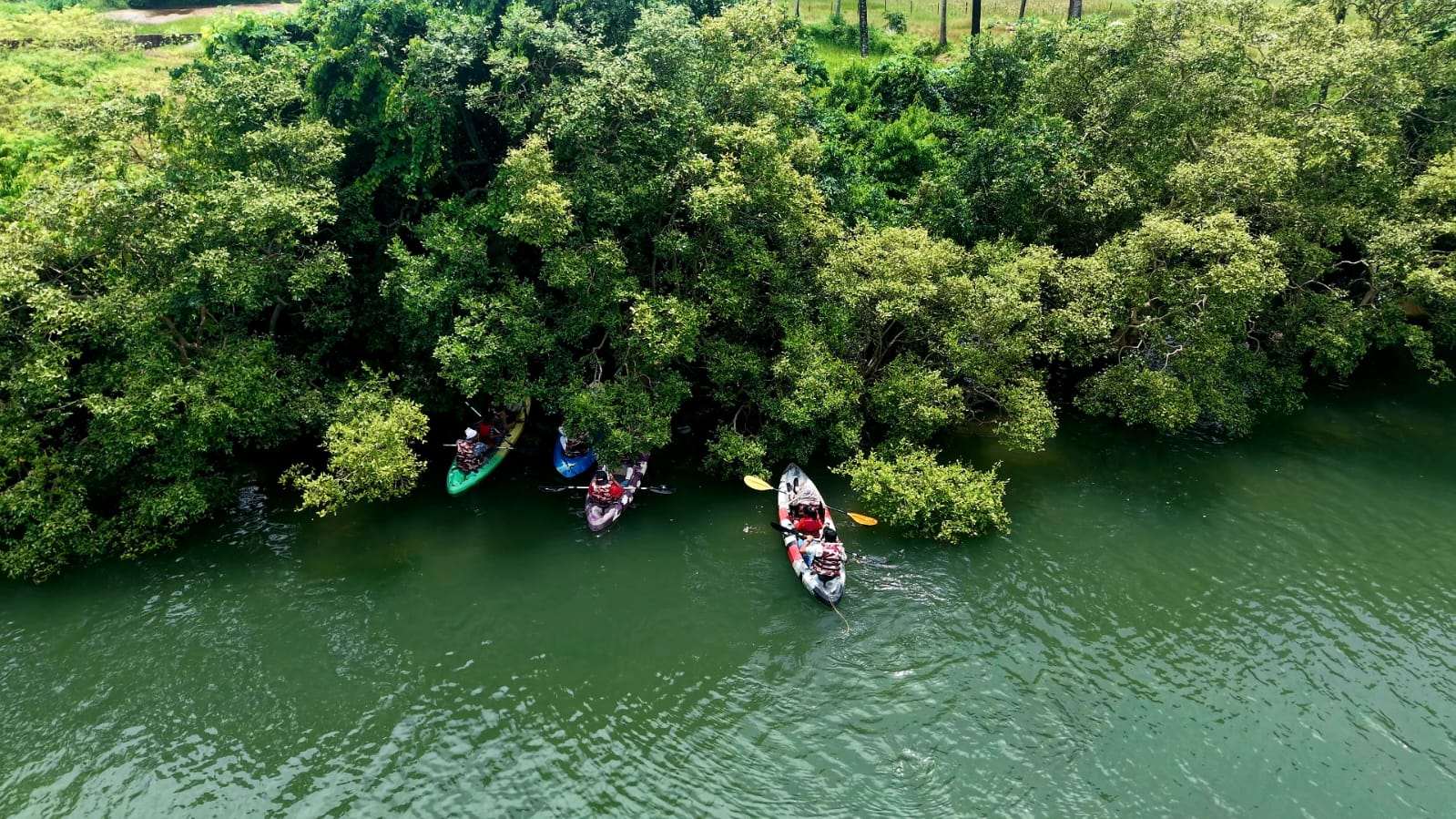 Activity image 11