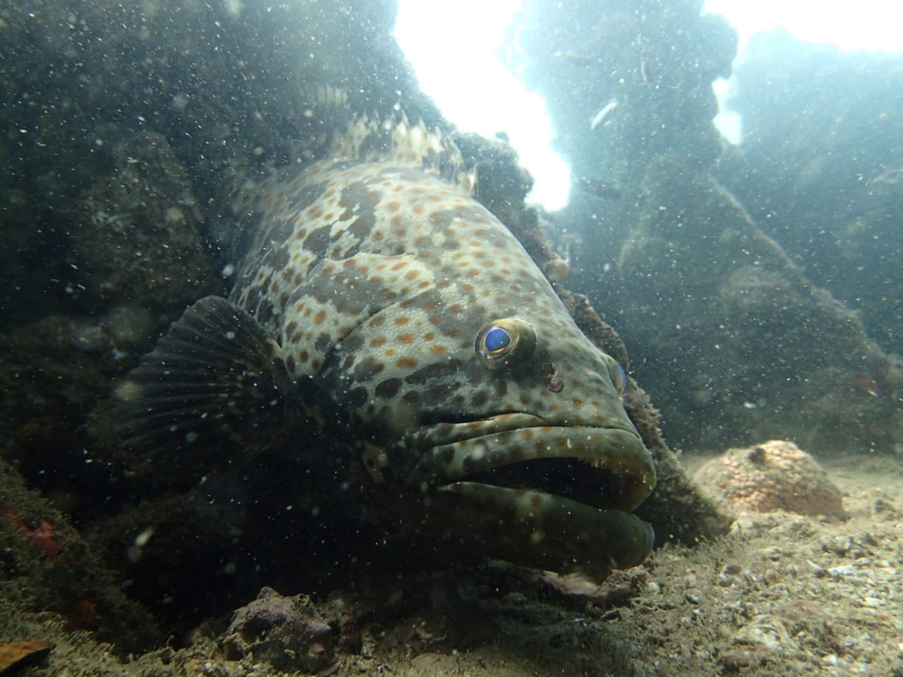 Activity image 5
