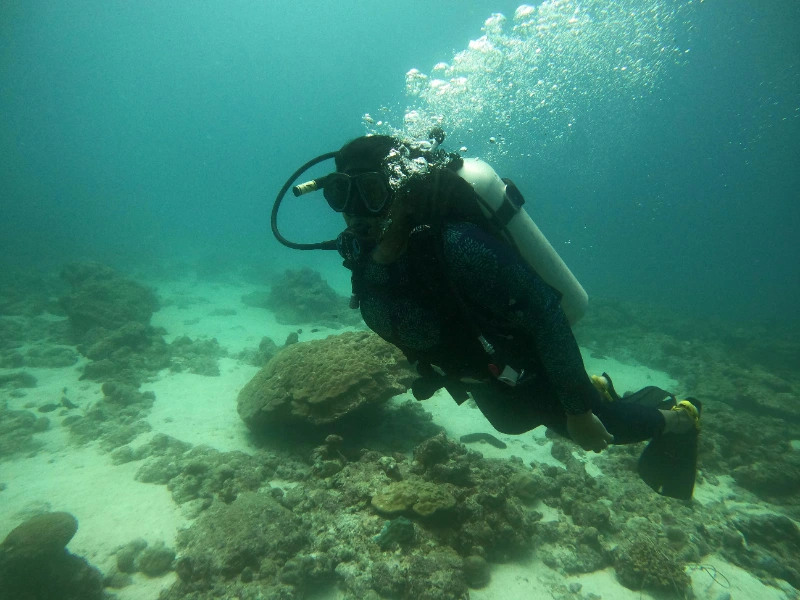 Activity image 4