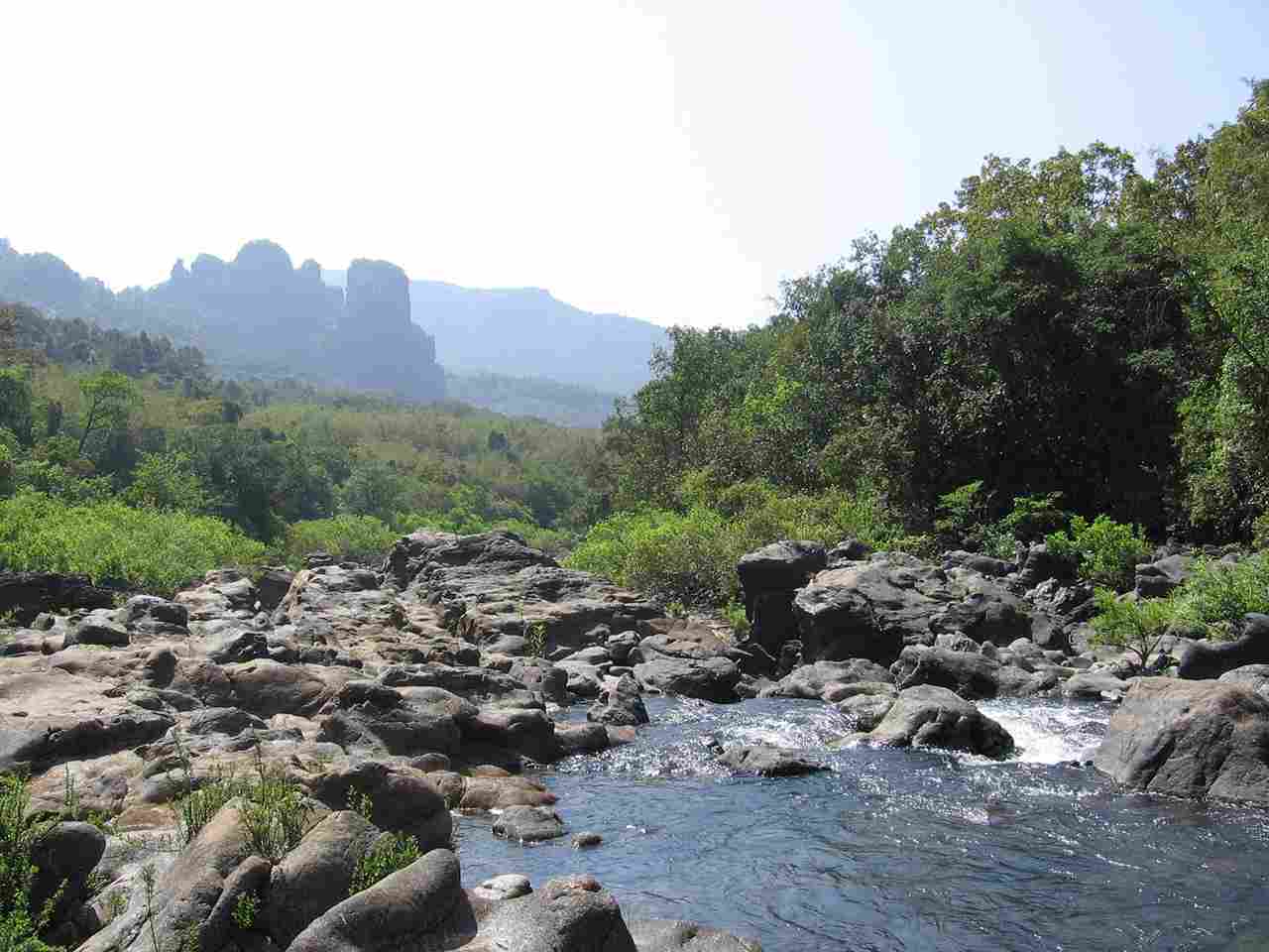 Activity image 7