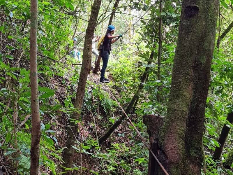 Activity image 3