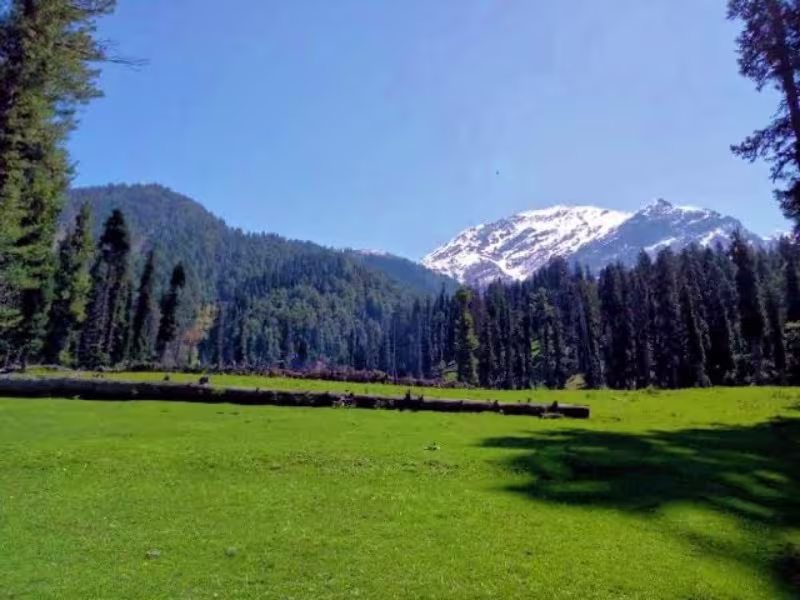 Activity image 2