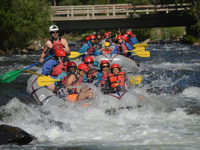 Activity image 1
