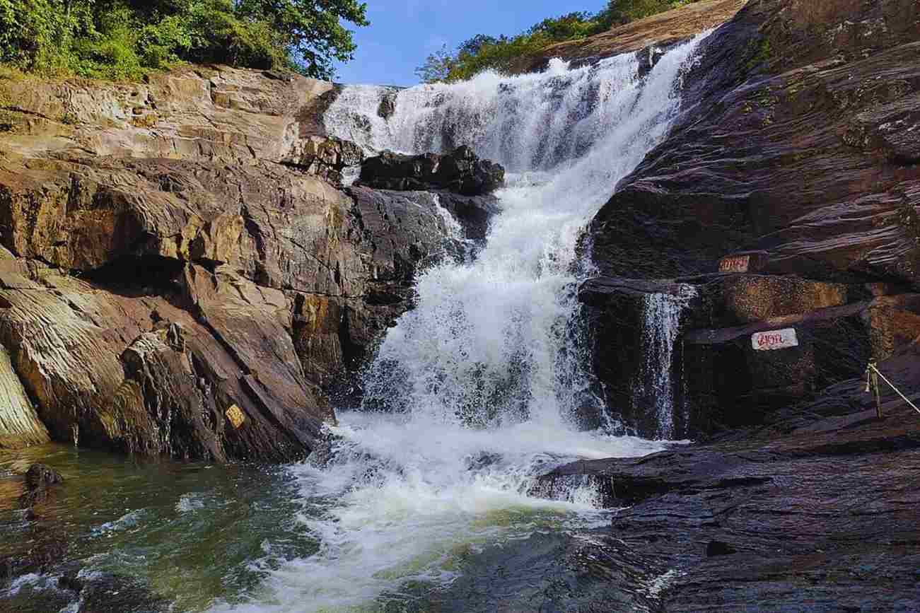 Activity image 3